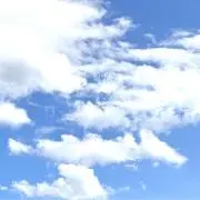 みーちゃん