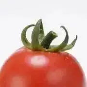 りこの画像