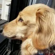 ひろ