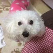 natse★プロフ必読の画像