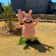 ひらとの画像