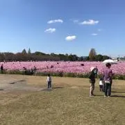 himeの画像
