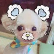 clover