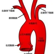 まりなの画像