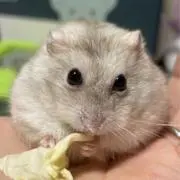 まり