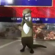 akiの画像