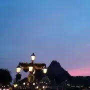 tomの画像