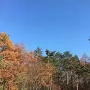 れいあの画像