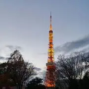 Haruruの画像