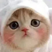 T&A  プロフ必読!!の画像