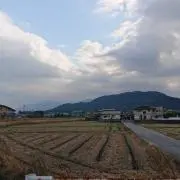 MASAの画像