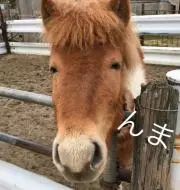 とくさん