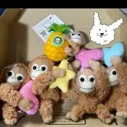 ☆みぃこ☆プロフ必読よろしくお願いしますの画像