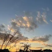yu