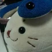 エグゼクティブ