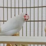 aki1024