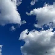 りんりんの画像