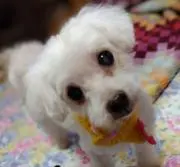taru.幸姫　プロフィール必読♡の画像