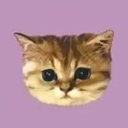 このか