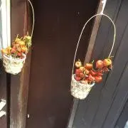 ☺︎❤︎