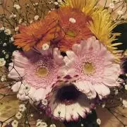 あや香の画像