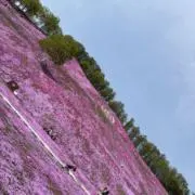 べーさんの画像