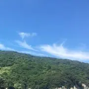 achiの画像