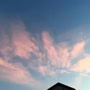 まうの画像