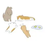 ちゃーの画像