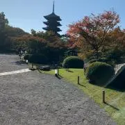 京