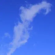 Skyの画像