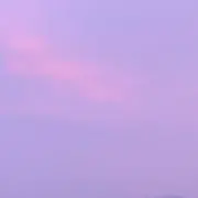 あんの画像