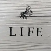 LIFE used_vintage