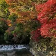 新の画像