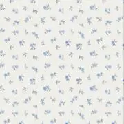紫陽花の画像