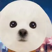 ぴなぴ　※次回発送の画像