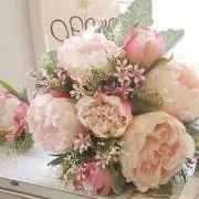 華˚✧₊⁎