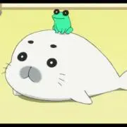 まろこんぶの画像