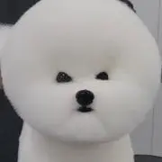 ビビッ！！