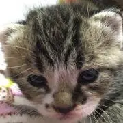 えりーぜ