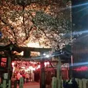 サンプニカ★☆の画像