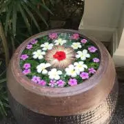 PHO24の画像