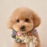 まとめ割歓迎の画像