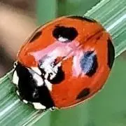 CAESARR　９月上旬 お休みの画像