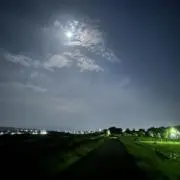 ひひひの画像
