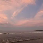 waveの画像