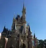 sima・*の画像