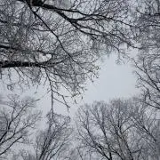 snowpeakの画像