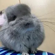 らら