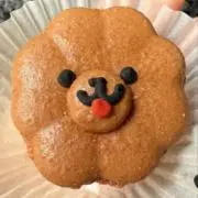 おまめの画像
